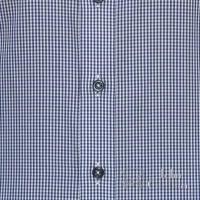 Spear Blue Gingham Checks